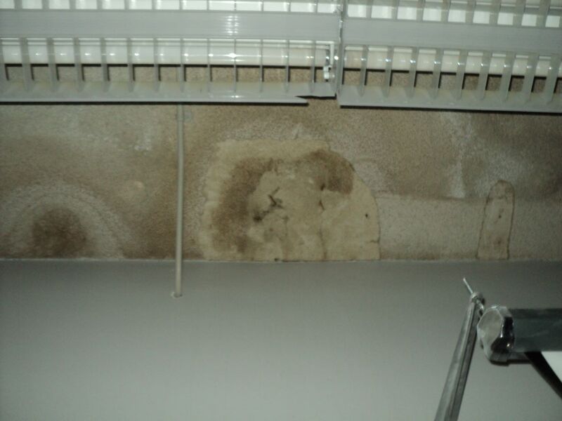 water staining and visible mould on a textured ceiling